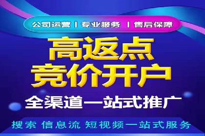 突破关键词竞价排名困境的案例解析
